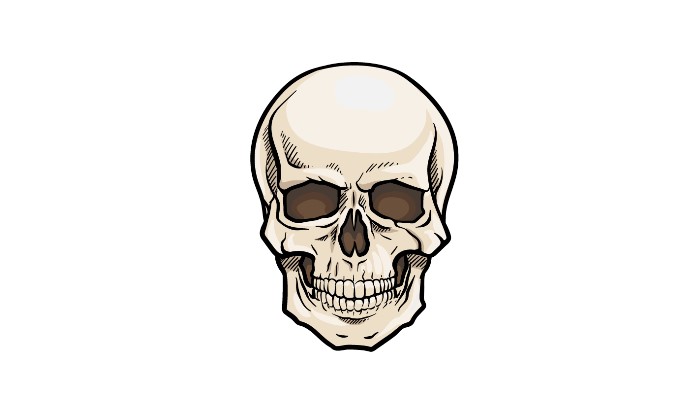 How to Draw a Skeleton Head