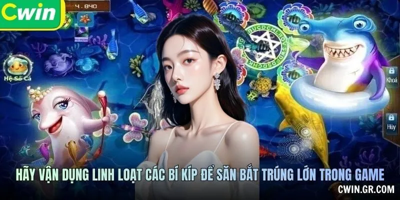 Boss, Đạn Và Giới Hạn Quan Sát