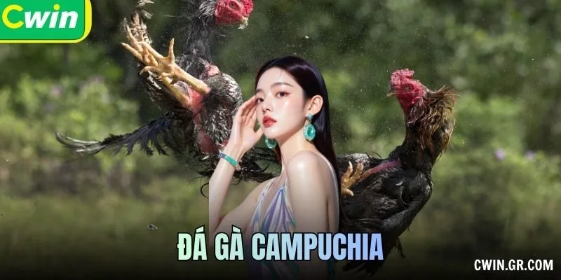 Đá Gà Campuchia: Hình Thức Và Thông Tin Trận Đấu