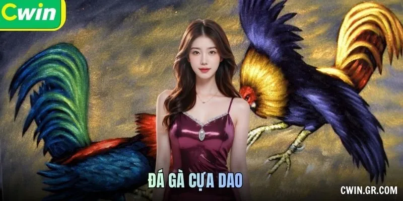 Đá Gà Cựa Dao: Đặc Điểm Và Quy Định Trận Đấu