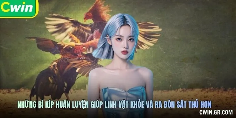 Thông Tin Chuẩn Bị Và Nguồn Dữ Liệu