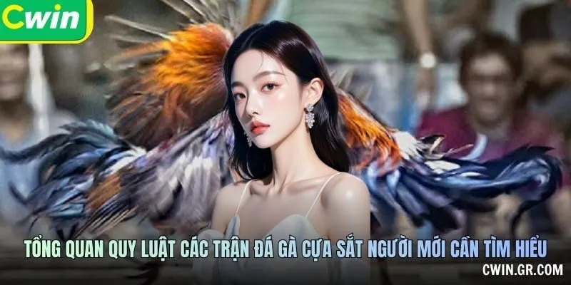 Tổng quan quy luật các trận đá gà cựa sắt người mới cần tìm hiểu