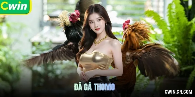 Đá Gà Thomo: Địa Điểm, Hình Thức Và Quy Định